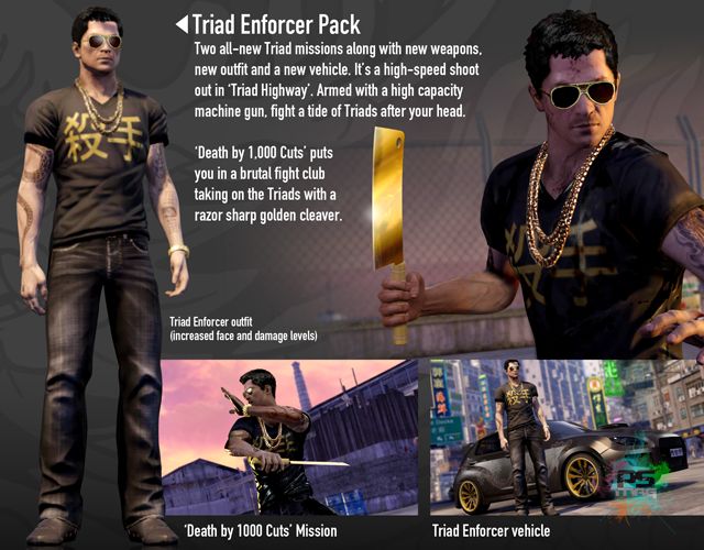 Sleeping Dogs Pack DLC Dragon Master disponible Actualité PSMag.fr